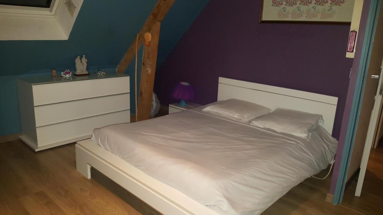 Chambre D'Hotes Chez L'Habitant Монлюис-сюр-Лоар Екстериор снимка