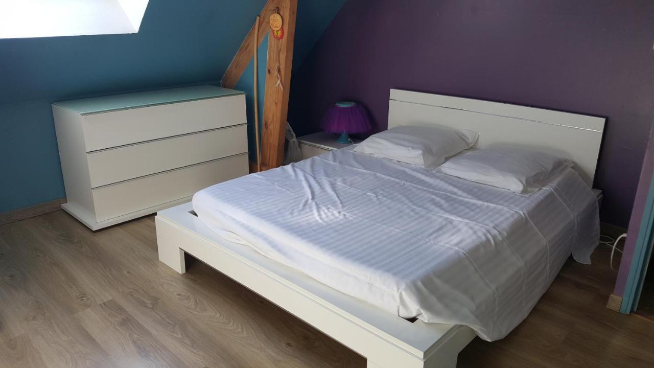 Chambre D'Hotes Chez L'Habitant Монлюис-сюр-Лоар Екстериор снимка